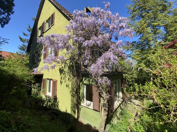 Hausansicht hinten mit Garten