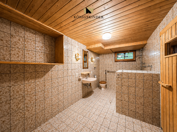 Wellnessbereich im Untergeschoss mit Dusche und WC
