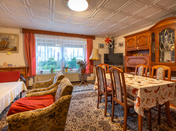EG Wohnzimmer Ansicht 1