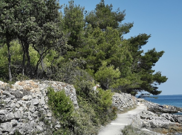 panorama-scouting-G425-7
