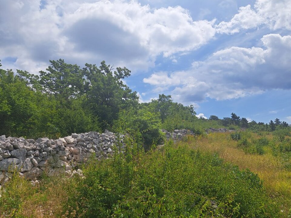 www.panorama-scouting.de