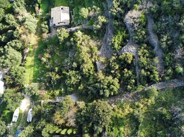 panorama-scouting-G468-11