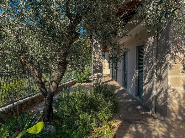 panorama-scouting-H3823-10