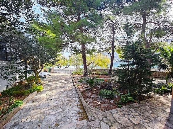 panorama-scouting-H3923-2