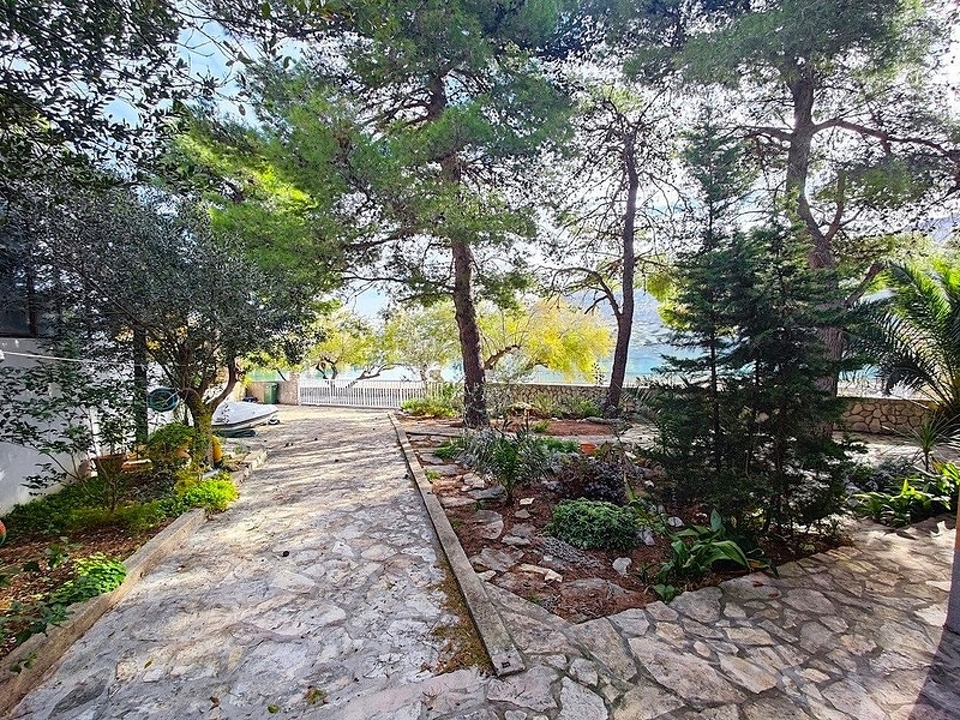 panorama-scouting-H3923-2