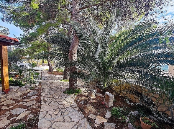 panorama-scouting-H3923-12