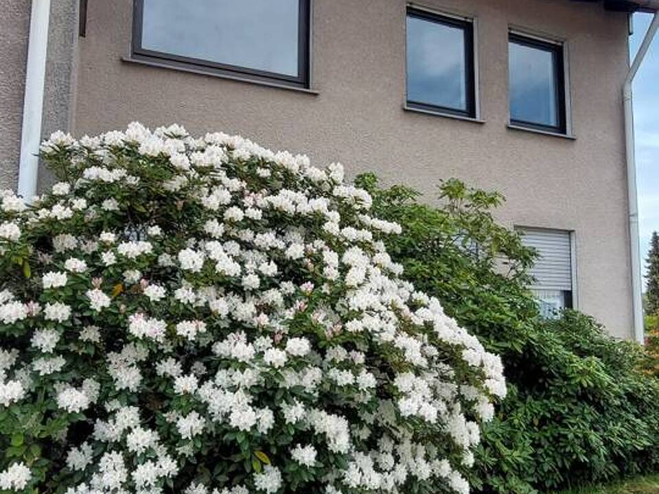 Ansicht Front