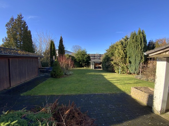 Blick in den Garten