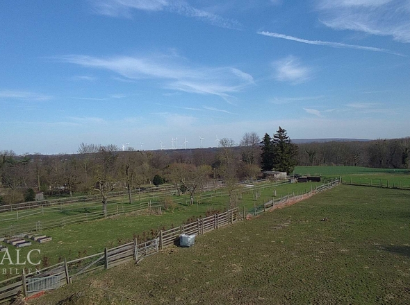 Weitblick