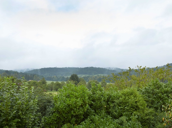 Ausblick