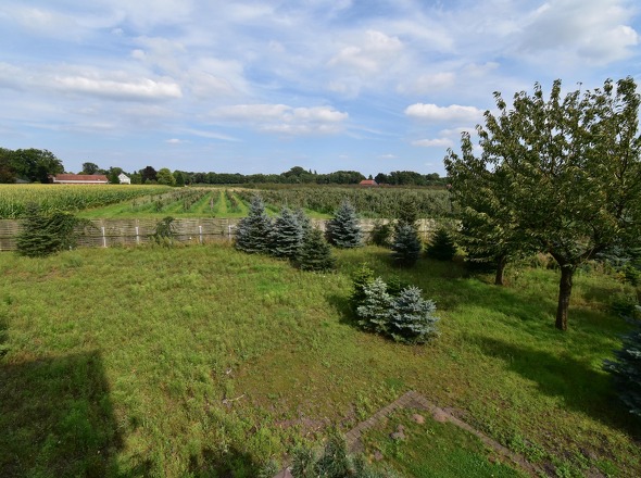 Blick vom Balkon