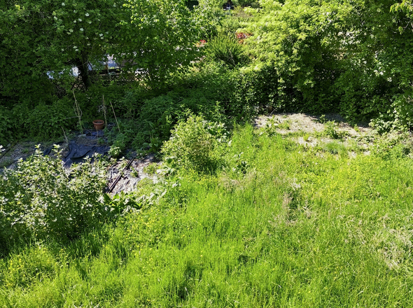 Mögliche Terrasse und Gartenbeet