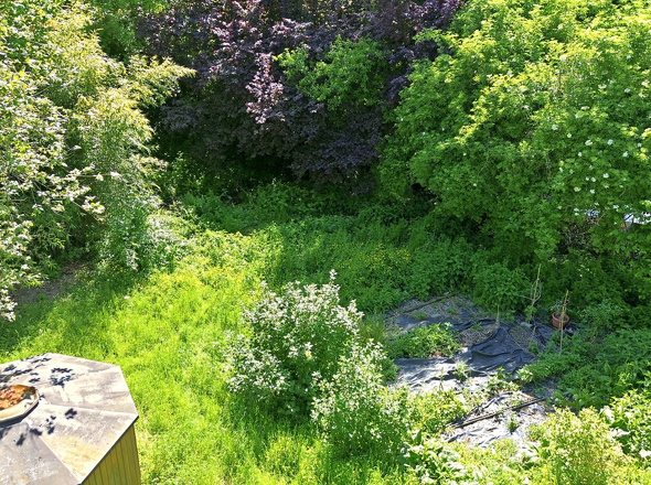 Weg vom Gartenbeet zum Bach