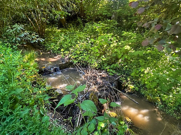 Kleiner Bach der durch den Garten fließt
