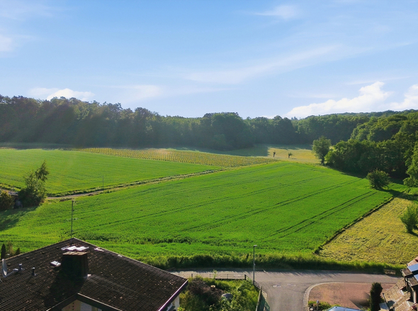 Die Grüne Umgebung direkt neben dem Haus