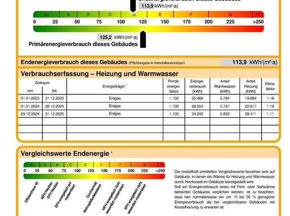 Energieausweis Auszug