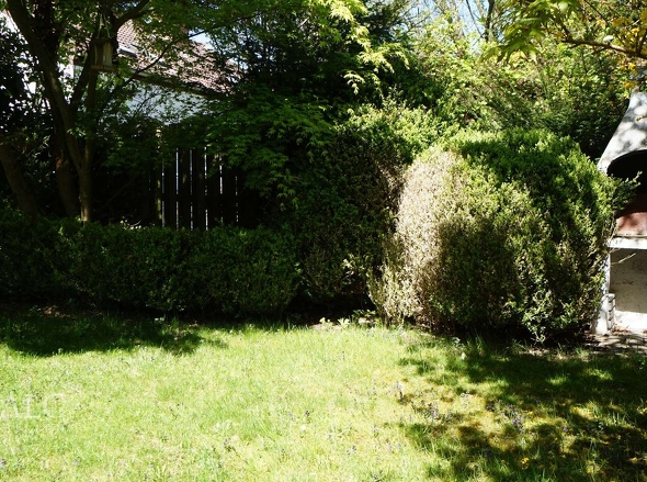 Garten im hinterem Bereich 1