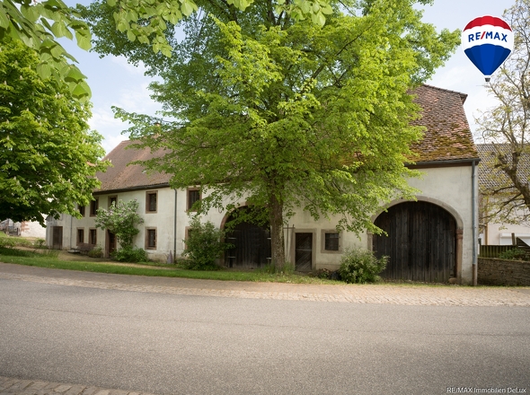 REMAX Immobilien DeLux Einfamilienhaus Frontansicht Blieskastel Mark Matthias Borowicz 