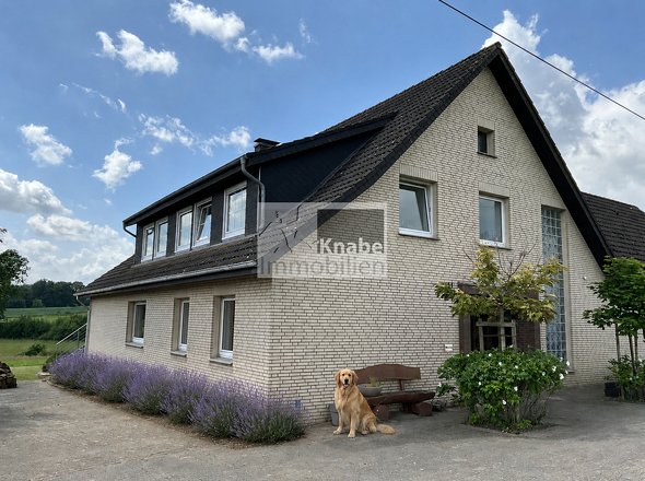Frontansicht