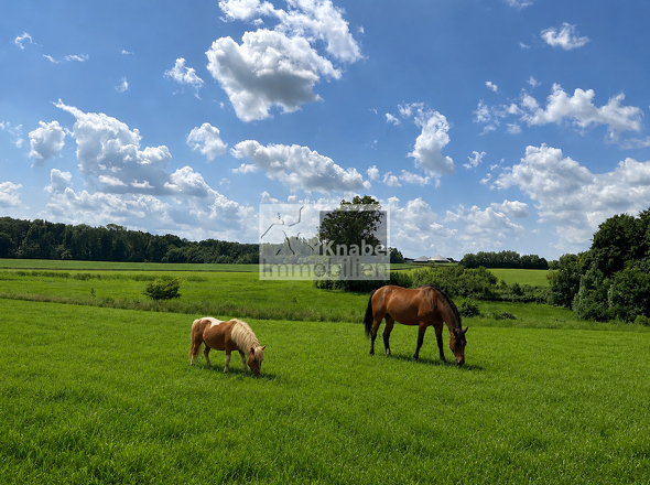 Pferdehaltung möglich