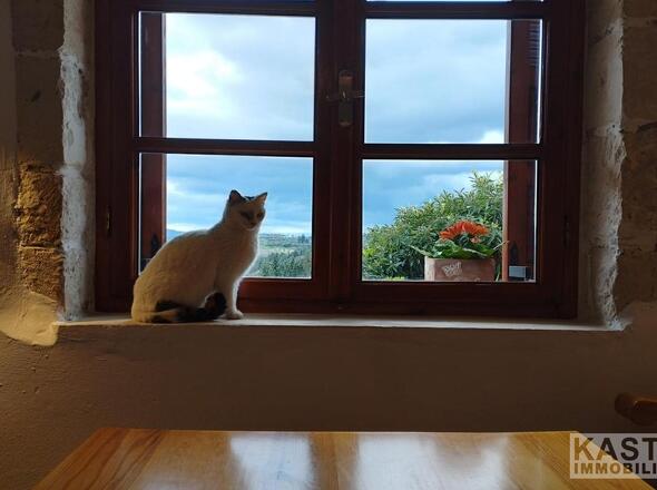 Aussicht