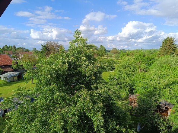 Ausblick