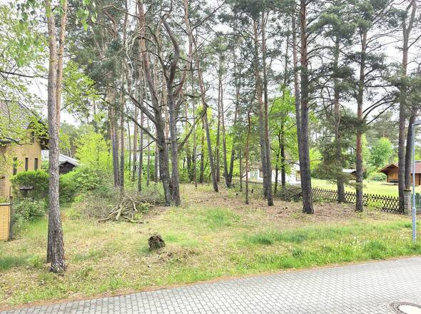 Blick von der linken Straßenecke auf das Grundstück