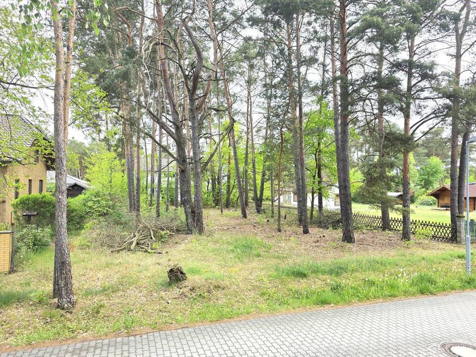 Blick von der linken Straßenecke auf das Grundstück