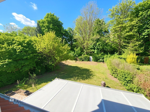 Blick in den Garten  