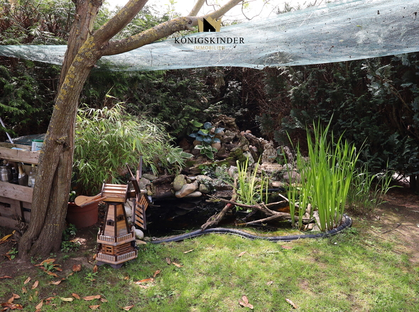 ...neben dem Gartenteich.