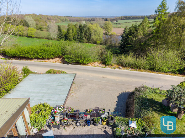 Ausblick von der Terrasse ins Grüne