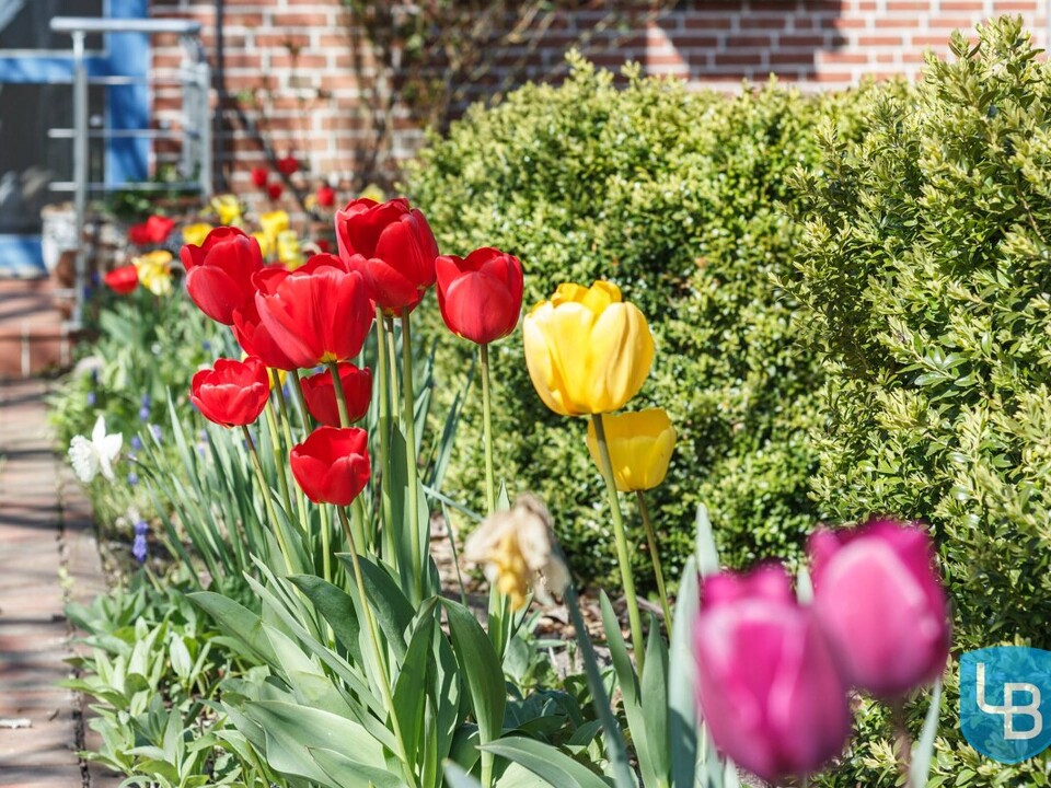 Der Frühling ist da