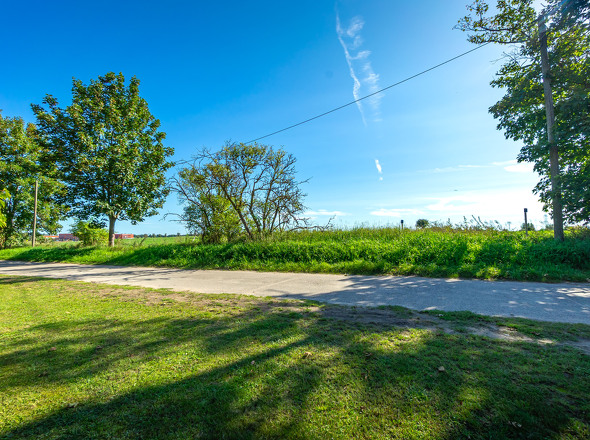 Feld auf der gegenüberliegenden Straßenseite