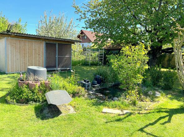 Teich im Garten
