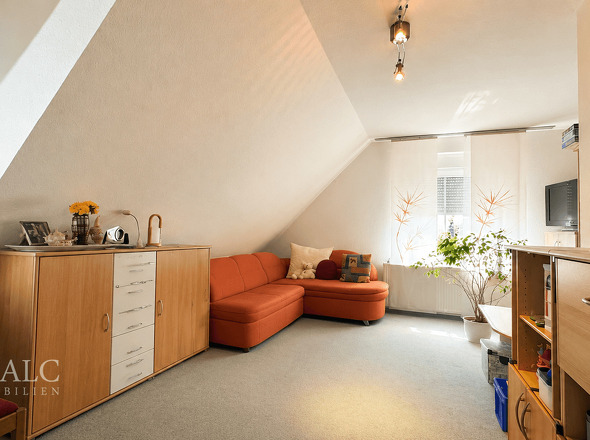 Zimmer I