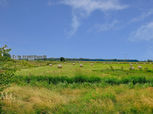 Blick vom Garten 