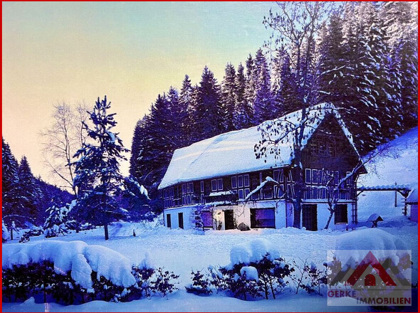 Winter
