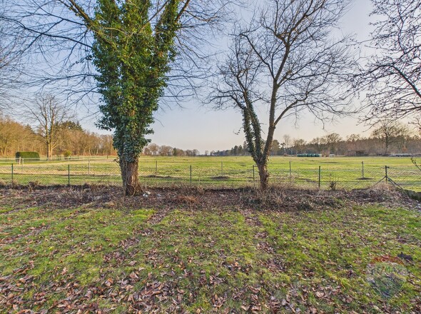 Feldrandblick vom Garten aus