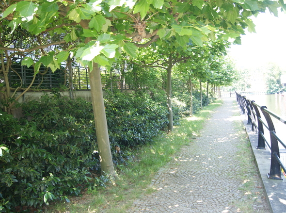DSC00683