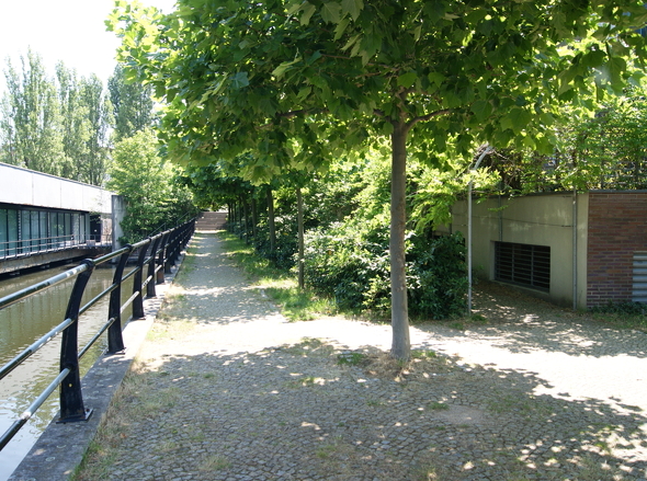 DSC00687