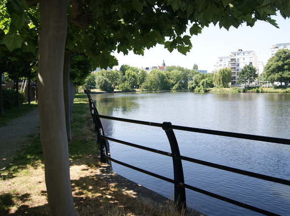 DSC00690