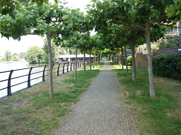 DSC00693