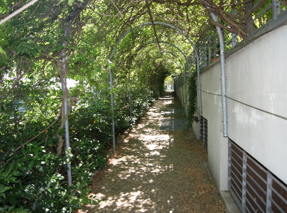 DSC00696