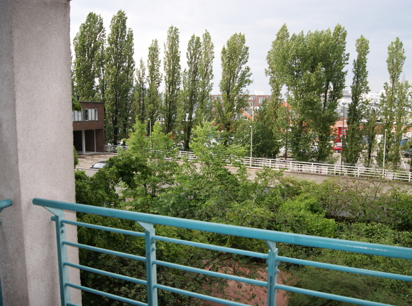 DSC00720
