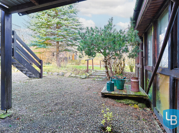 Blick in den Garten 