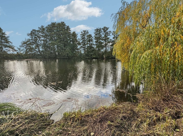 Wasserzugang