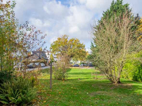 11141 Garten 2