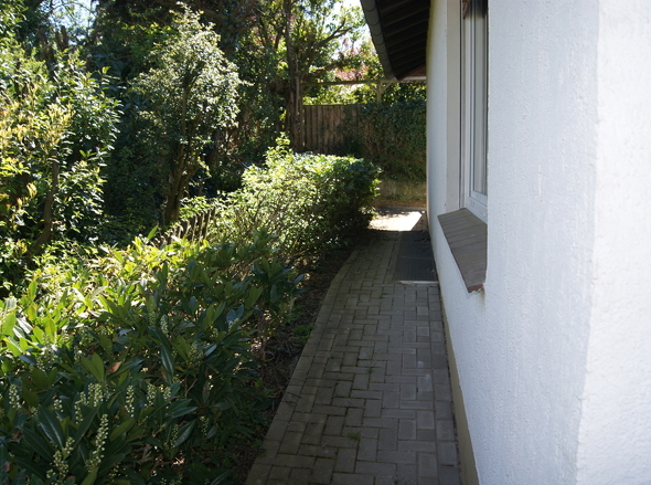 DSC02230