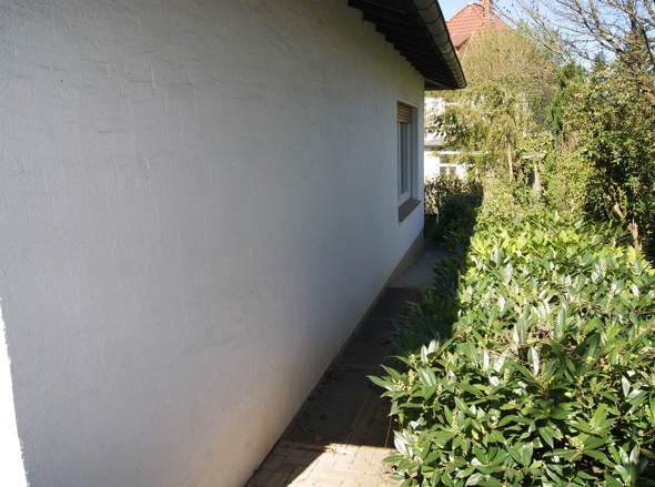 DSC02231