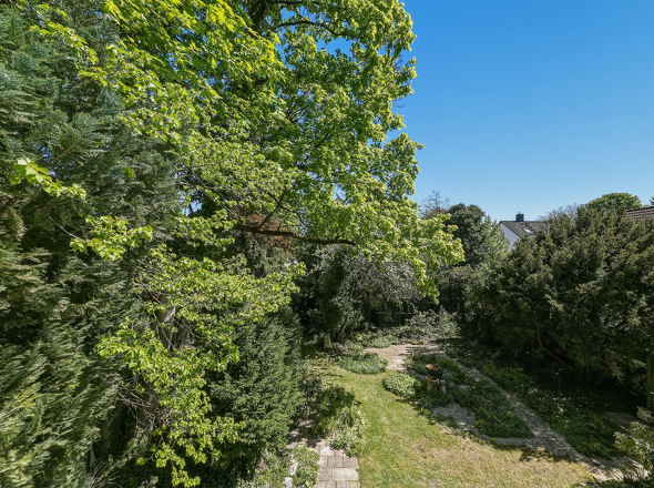 Blick in den Garten